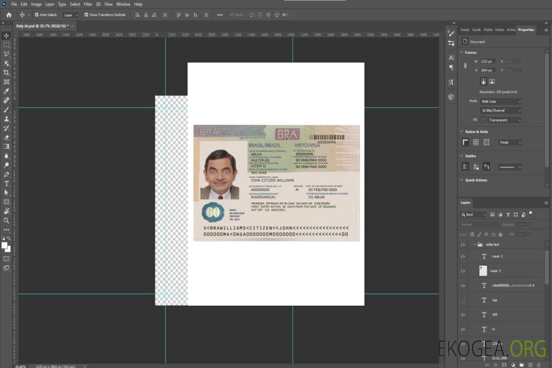 Visa Brésil template Visa Brésil template